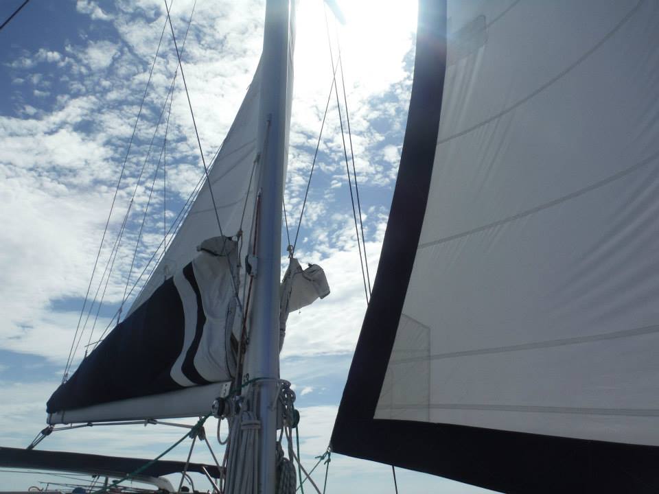 sails